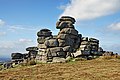 Great Staple Tor